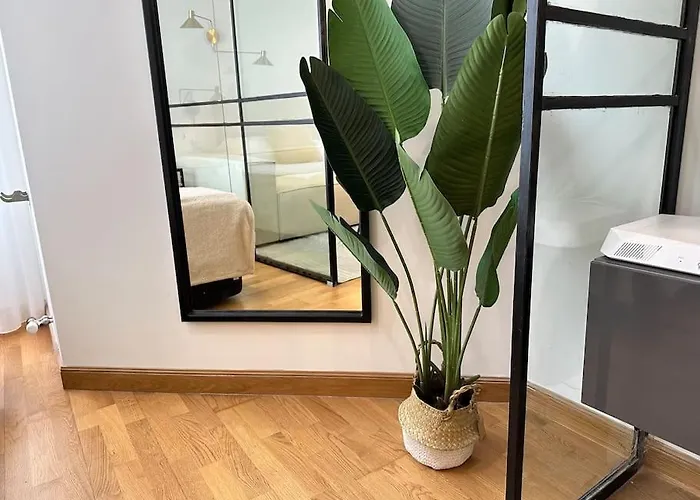 Ybh Luis Taboada 13 4e